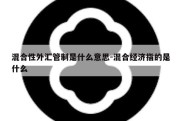 混合性外汇管制是什么意思-混合经济指的是什么