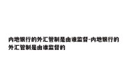 内地银行的外汇管制是由谁监督-内地银行的外汇管制是由谁监督的