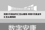 利用5万美金外汇怎么赚钱-利用5万美金外汇怎么赚钱的