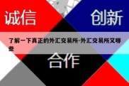 了解一下真正的外汇交易所-外汇交易所又哪些