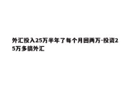 外汇投入25万半年了每个月回两万-投资25万多搞外汇