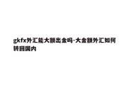 gkfx外汇能大额出金吗-大金额外汇如何转回国内