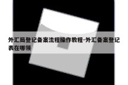 外汇局登记备案流程操作教程-外汇备案登记表在哪领