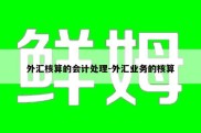 外汇核算的会计处理-外汇业务的核算