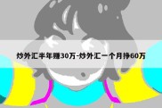 炒外汇半年赚30万-炒外汇一个月挣60万