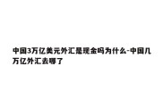 中国3万亿美元外汇是现金吗为什么-中国几万亿外汇去哪了