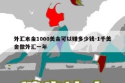 外汇本金1000美金可以赚多少钱-1千美金做外汇一年