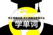 外汇回国流程-外汇回国流程是什么