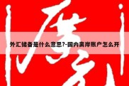 外汇储备是什么意思?-国内离岸账户怎么开