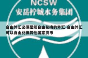 自由外汇必须是能自由兑换的外汇-自由外汇可以自由兑换其他国家货币