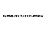 外汇申报收入类型-外汇申报收入类型填什么