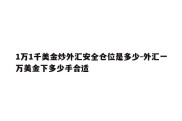 1万1千美金炒外汇安全仓位是多少-外汇一万美金下多少手合适