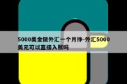 5000美金做外汇一个月挣-外汇5000美元可以直接入账吗