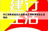 外汇到账用途怎么说明-外汇到账用途怎么说明的