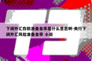 下调外汇存款准备金率是什么意思啊-央行下调外汇风险准备金率 小说