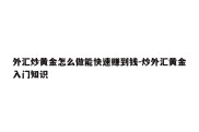 外汇炒黄金怎么做能快速赚到钱-炒外汇黄金入门知识