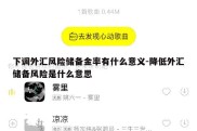 下调外汇风险储备金率有什么意义-降低外汇储备风险是什么意思