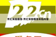 外汇实验报告-外汇实验报告实验内容