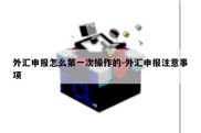 外汇申报怎么第一次操作的-外汇申报注意事项