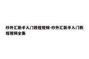 炒外汇新手入门教程视频-炒外汇新手入门教程视频全集