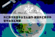 外汇数字外管平台怎么操作-国家外汇数字外管平台怎么申报