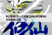 外汇投资1万一个月赚了600-外汇投资2万月收益1200