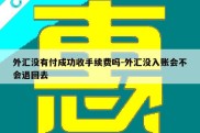 外汇没有付成功收手续费吗-外汇没入账会不会退回去