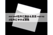 euraud在外汇中什么意思-eurnzd在外汇中什么意思