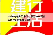 usdcny在外汇中什么意思-usd是什么币种的外汇英文简称