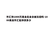 外汇挣1000万美金出金会被冻结吗-1000美金外汇能挣到多少