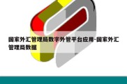 国家外汇管理局数字外管平台应用-国家外汇管理局数据