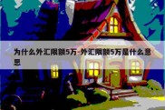 为什么外汇限额5万-外汇限额5万是什么意思