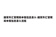 国家外汇管理局申报信息录入-国家外汇管理局申报信息录入流程