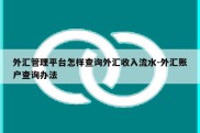 外汇管理平台怎样查询外汇收入流水-外汇账户查询办法