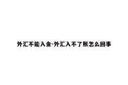 外汇不能入金-外汇入不了账怎么回事