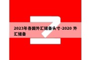 2023年各国外汇储备头寸-2020 外汇储备