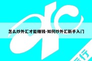 怎么炒外汇才能赚钱-如何炒外汇新手入门