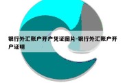 银行外汇账户开户凭证图片-银行外汇账户开户证明