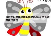 执行外汇管理政策基本规定2019-外汇政策执行情况