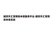 国家外汇管理局申报服务平台-国家外汇管理局申报系统