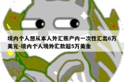 境内个人想从本人外汇账户内一次性汇出6万美元-境内个人境外汇款超5万美金