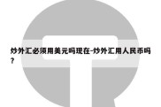 炒外汇必须用美元吗现在-炒外汇用人民币吗?