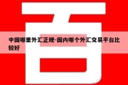 中国哪里外汇正规-国内哪个外汇交易平台比较好