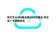 外汇牛人300美元到1000万美元-外汇从一千到两百万