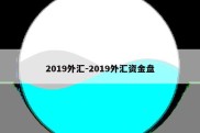 2019外汇-2019外汇资金盘