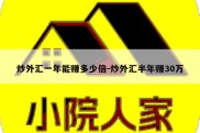 炒外汇一年能赚多少倍-炒外汇半年赚30万