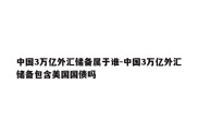 中国3万亿外汇储备属于谁-中国3万亿外汇储备包含美国国债吗