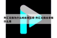 外汇兑换为什么叫水单汇率-外汇兑换水单有什么用