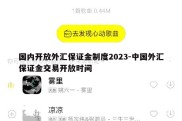 国内开放外汇保证金制度2023-中国外汇保证金交易开放时间