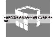 大额外汇怎么转回国内-大额外汇怎么换成人民币